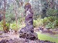 Big Island Hawaii Lava tree