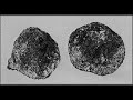 OOPART (out of place artifacts) (part 1)