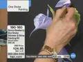 Donna Dewberry One Stroke Shimmer and Shine Painting Kit...
