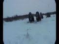 Almost Killed by the Musk Ox