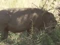 Game Park S.A.