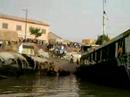 Taking in the scene