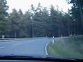 One car one driver one day - Cruising in a BMW 530