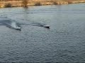 RC Boat - 64 \" Bonzi Sport Fountain Waiting For Shockwave