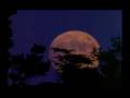 videos de Ludwig van Beethoven - Moonlight Sonata