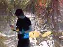 Lies of the Prophet - Hey, Hey, Officer.. Thats Entrapment Lies of the Prophet - Hey, Hey, Officer.. Thats Entrapment