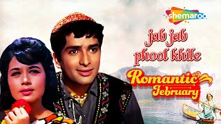 Jab Jab Phool Khile hindi movie