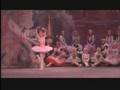 Sugar Plum Fairy