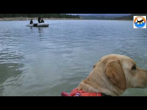 Imagen de previsualización de YouTube