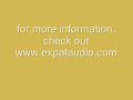 Expat Audio - Turbo GSSL PCB