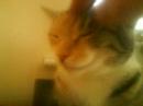 My best friend :)