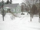Bodhi, not impressed by the snow..AVI Bodhi, not impressed by the snow..AVI