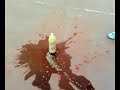 Coca Mentos...Esperimento fallito :\