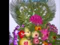 videos de Doi em van truong