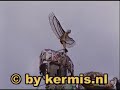 Ikarus der Mythos (Das Flugkarussell) Weert 2006