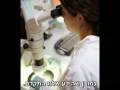 נשלח על ידי מינהלת-האתר בתאריך Sun Jun 27 2010 ב- 09:45am