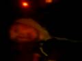 videos de woody