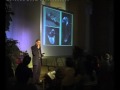 Kreation Evolution 06 Von Schoepfung zur Wiederherstellung 2/9