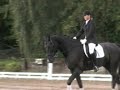 Milton af St�vleb�k dressur LA1