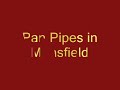 Pan Pipes in Mansfield Nottinghamshire
