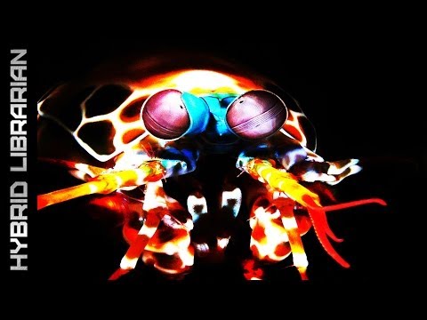 World's 10 Animals With Real Superpowers