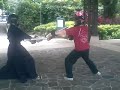 RSW Sword Fight: Jack vs Greg w/ Zulu War Spear RSW Sword Fight: Jack vs Greg w/ Zulu War Spear
