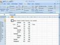 Usando Ordenar, subtotales, ir a especial en Excel 2007