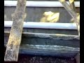 biodigestor / capitulo 2
