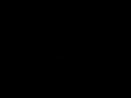 biodigestor / capitulo 2
