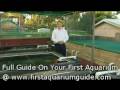 Koi (Starters DVD to Aquariums)