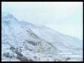 SUPER FURRY ANIMALS - Hometown Unicorn