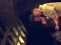 dads gettin beat up by drag qween