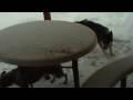 videos de FILE0012