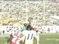 Images of Our Terps & Terrapins Rising