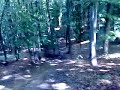 MOV00155.mp4