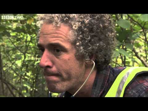 how to take heart rate