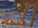 Bambi; Du kannst es schaffen Bambi; Du kannst es schaffen
