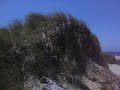 hike to new carissa