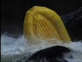 Upper Gauley 2006 - Pillow Rock