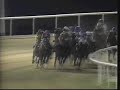 Cigar - 1996 Dubai World Cup