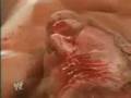 videos de Hell In A Cell Triple H Vs Batista 4 of 4