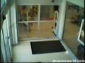 dork vs glass