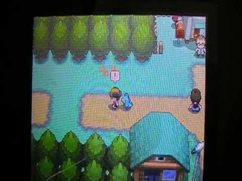 totodile