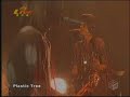 liveplastic-tree-37-.html