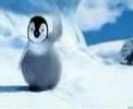KaradenizliPenguen KaradenizliPenguen