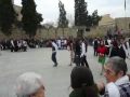 Ball de Gitanes - Sant Cugat