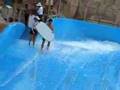 Mad Surfing in Dubai pt.2 (I Apotheosi)