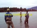 MASSIVE Skeena River Steelhead landed on fly