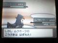 PKMN Platino:Top Trainer Café.3-VS Crasher Wake y Gardenia
