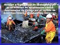 organizaciones para proteger el ambiente organizaciones para proteger el ambiente